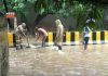 Telangana flood | newsfront.co