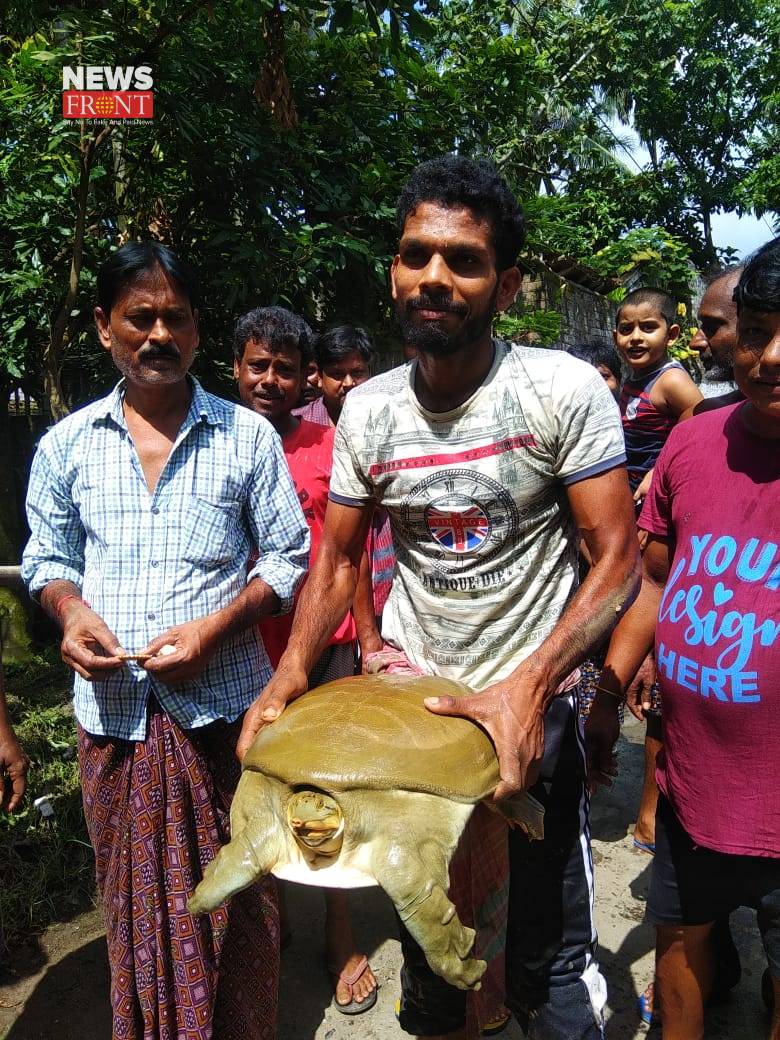 Tortoise rescue | newsfront.co