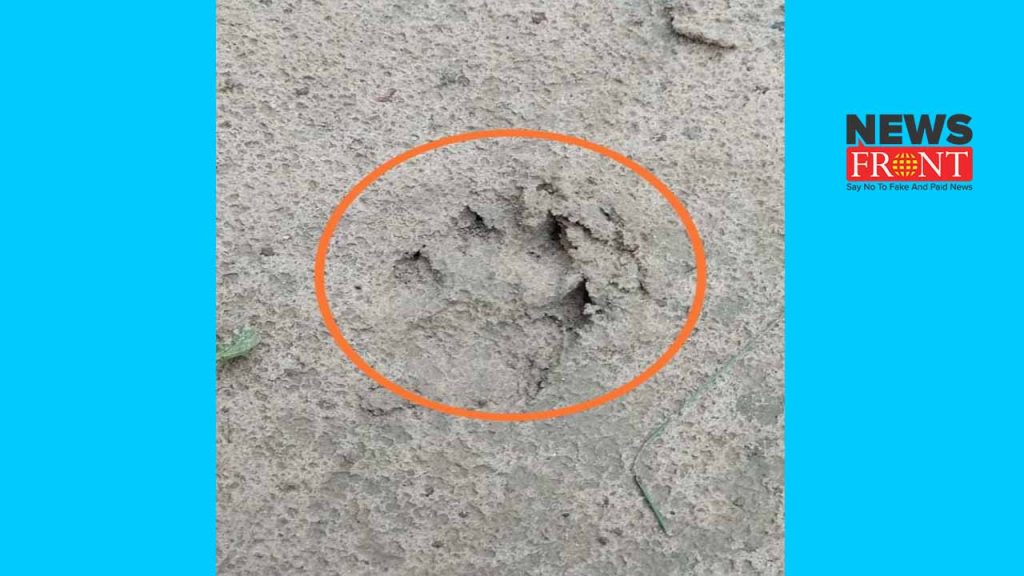 animal footprint | newsfront.co