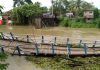 bridge damage | newsfront.co