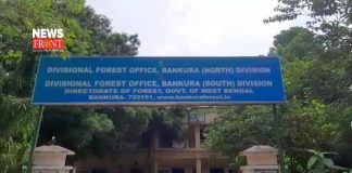 forest office | newsfront.co