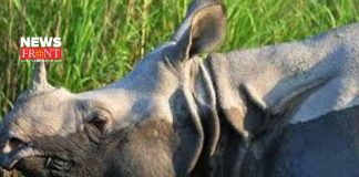 rhinoceros | newsfront.co