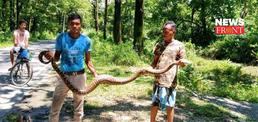 snake rescue | newsfront.co