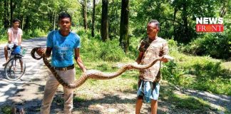 snake rescue | newsfront.co