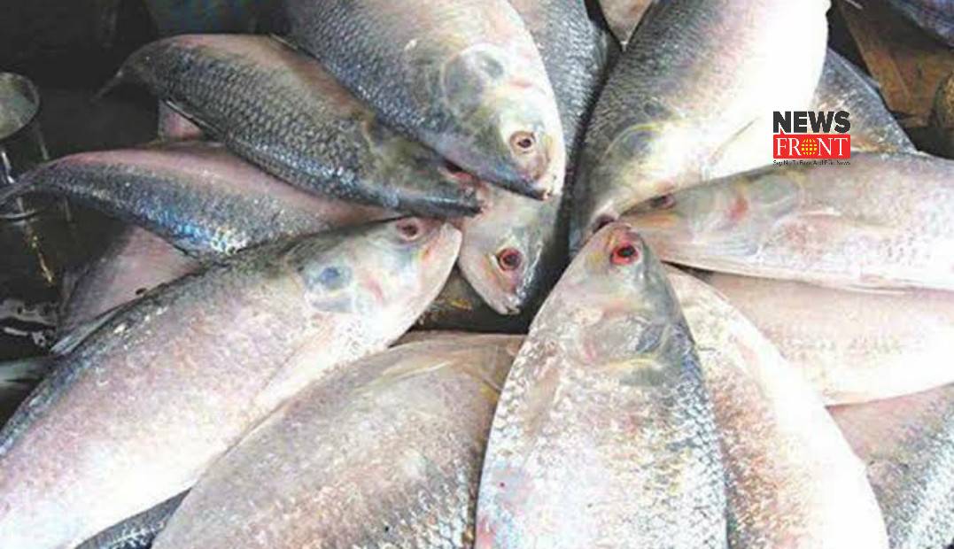 Hilsa fish | newsfront.co