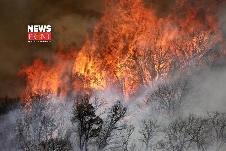 Wildfire | newsfront.co