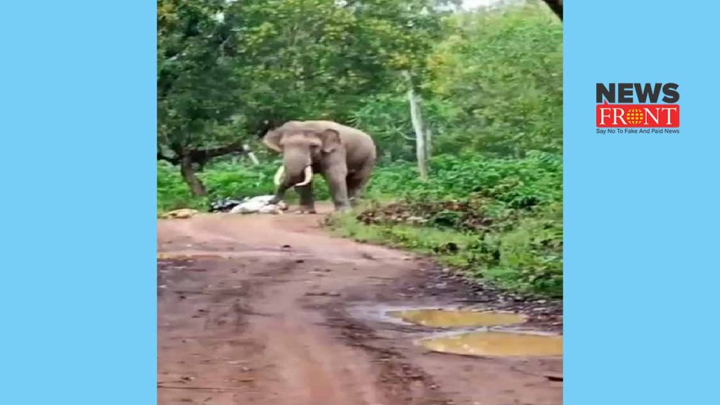 elephant attack | newsfront.co