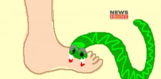 snake | newsfront.co