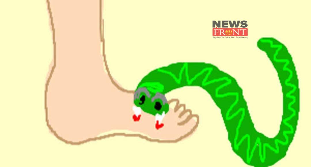 snake | newsfront.co