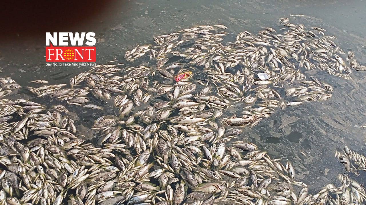 fish | newsfront.co