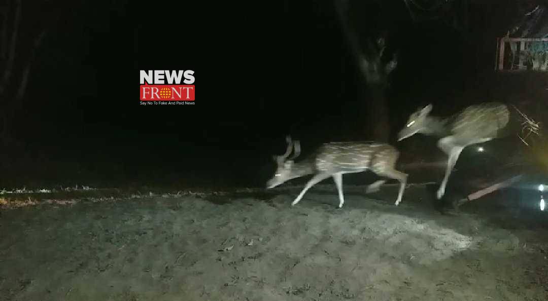 deer | newsfront.co