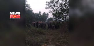 elephant attack | newsfront.co