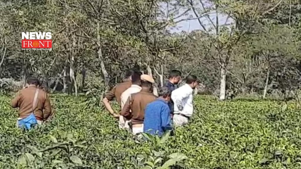 tea garden | newsfront.co