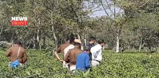 tea garden | newsfront.co