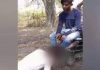 minor dalit boy assaulted in up